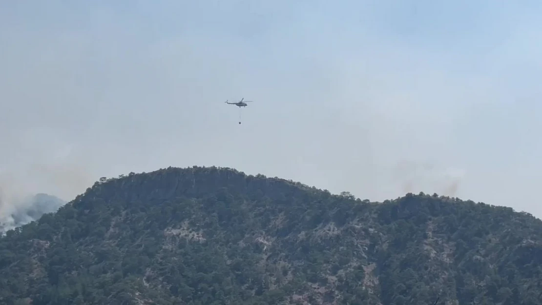 Bolu'daki Orman Yangını 3'ncü Gününde