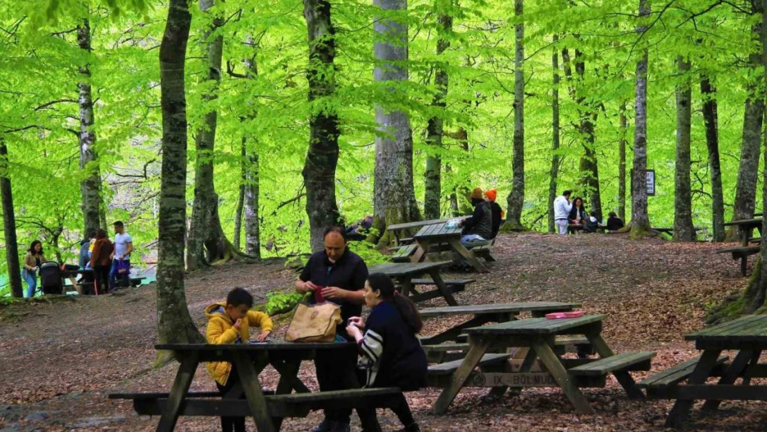 Bolu'nun Doğa Harikasında İnsan Faaliyetleri Doğal Dengeyi Bozuyor