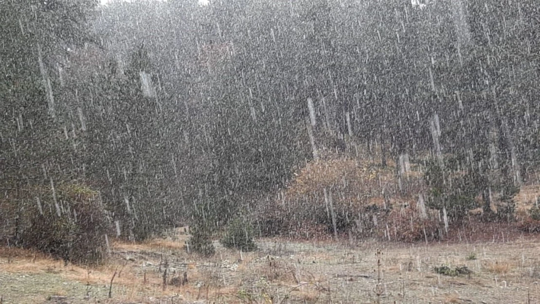 Bolu'nun Yüksek Kesimlerinde Kar Yağışı