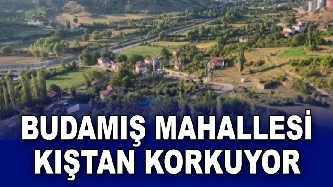 Budamış Mahallesi'nin O Korkusu: Muhtar Karabacakoğlu Açıkladı