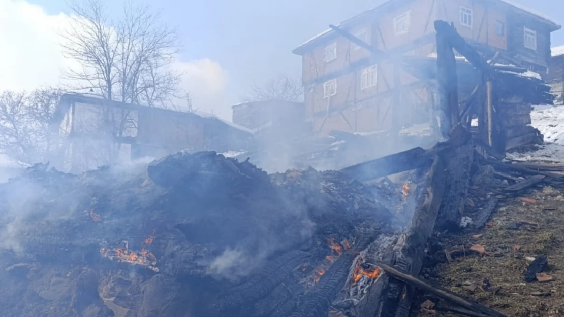 Yangın Faciası: 2 Ev, 1 Samanlık, 1 Traktör Kül Oldu!