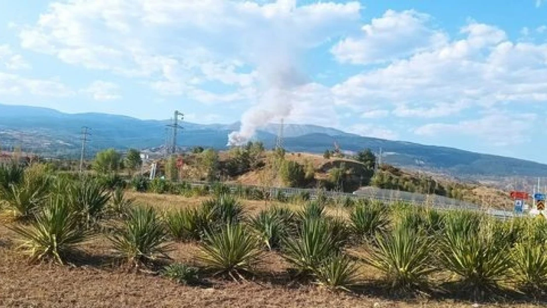 Çankırı'da Orman Yangını