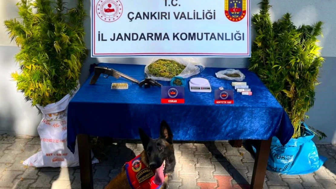 Çankırı'da uyuşturucu tacirlerine operasyon: 2 gözaltı