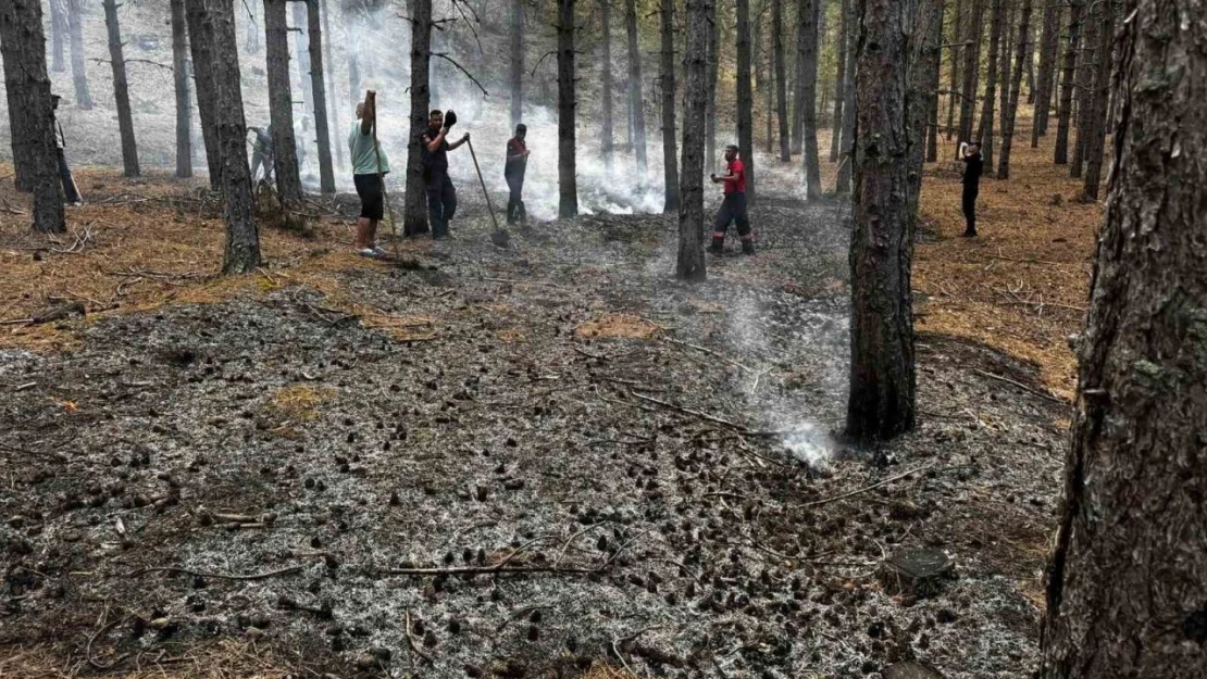 Çankırı'da Yıldırımın Düştüğü Ormanda Yangın Çıktı