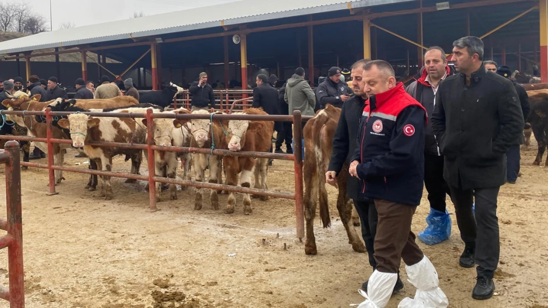 Canlı Hayvan Pazarında Denetim Gerçekleştirildi