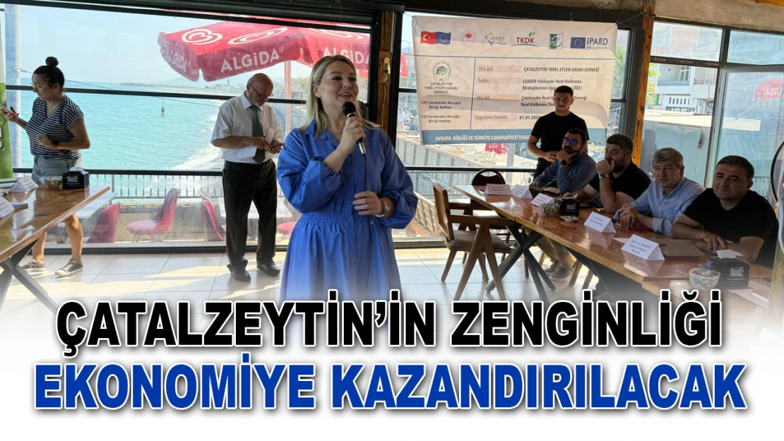 Çatalzeytin'in Zenginliği Ekonomiye Kazandırılacak