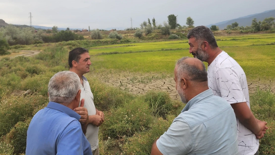 Çeltikteki Sulama Sorunu Çözülecek 