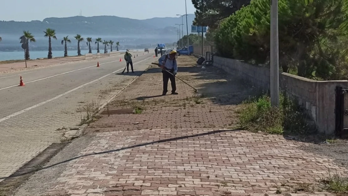 Cide Belediyesi mıntıka temizliği yapıyor
