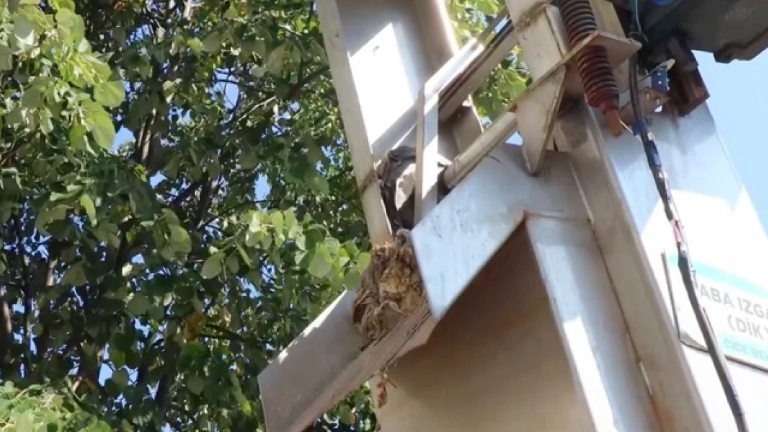 Cide Belediyesi'nden Altyapı Uyarısı