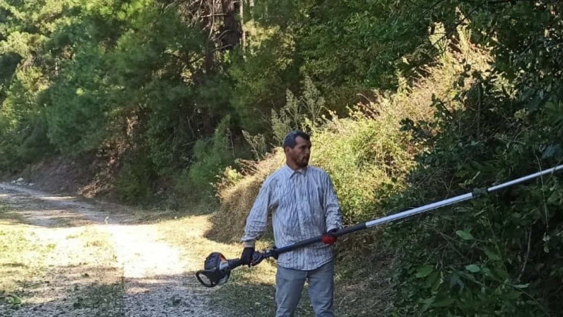 Cide'de geniş çaplı mıntıka temizliği