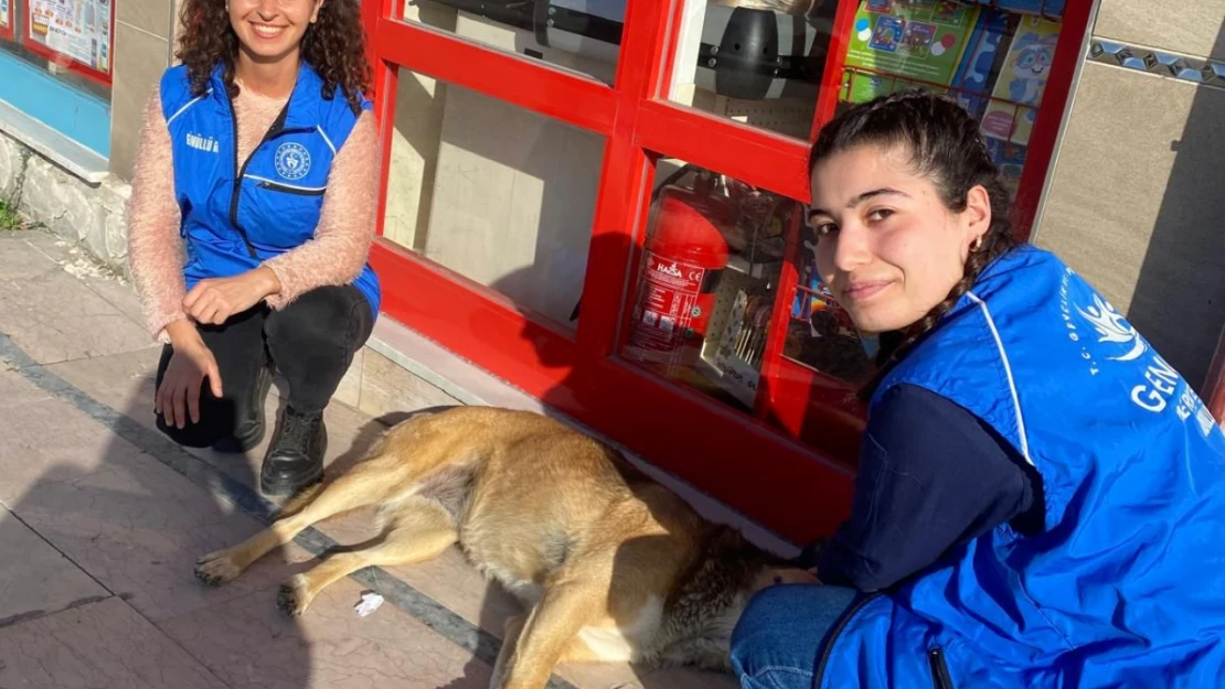 Cide'de Hayvanları Koruma Günü Kutlandı