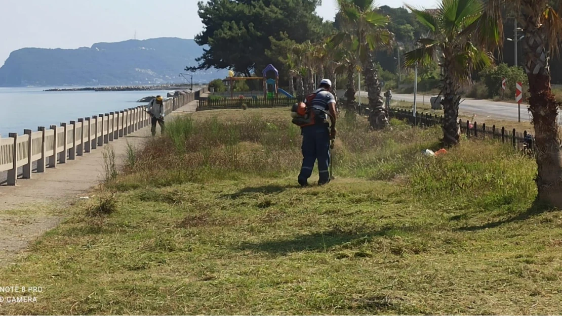 Cide'de mıntıka temizliği sürüyor