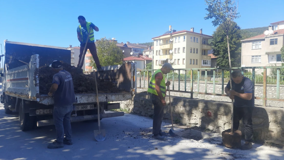 Cide'de peyzaj çalışması sürüyor