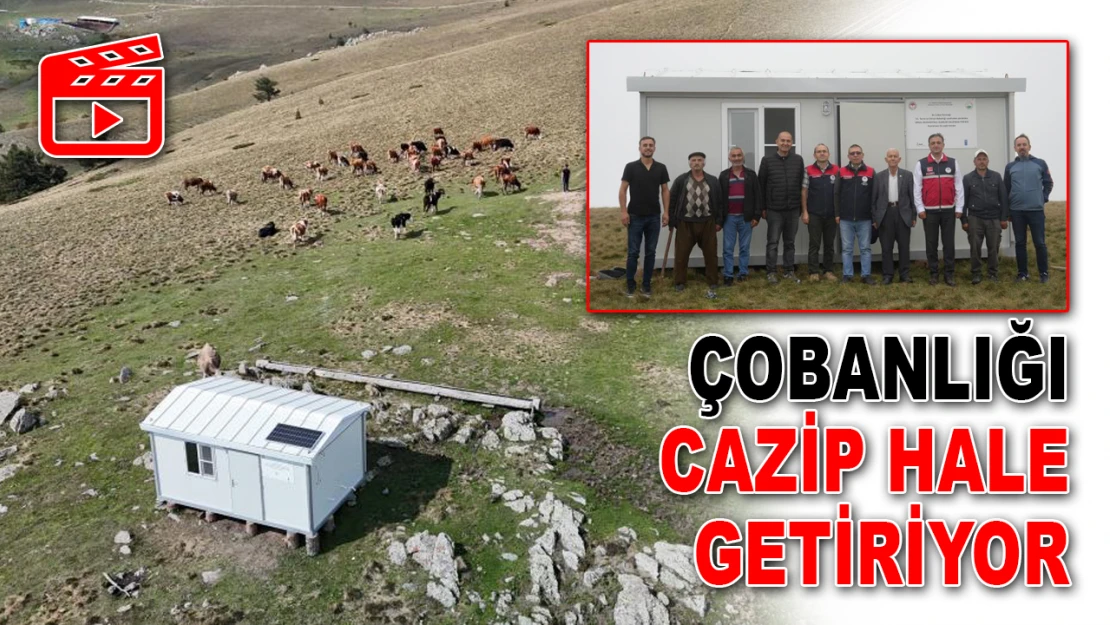 Çobanlığı Cazip Hale Getiriyor