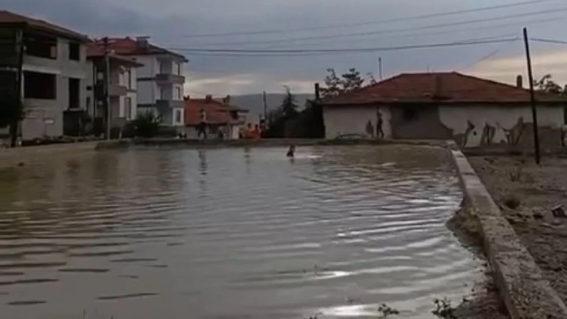 Çocuklar Su Birikintisinde Yüzerek Serinledi