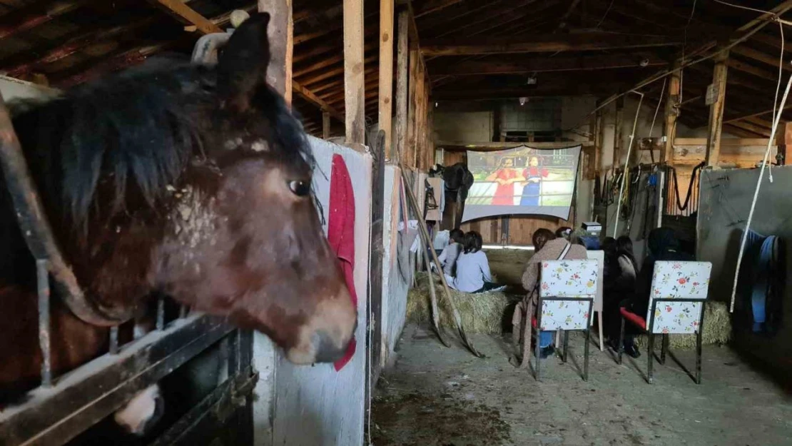 Saman Balyaları Üstünde Sinema Keyfi Yaptılar