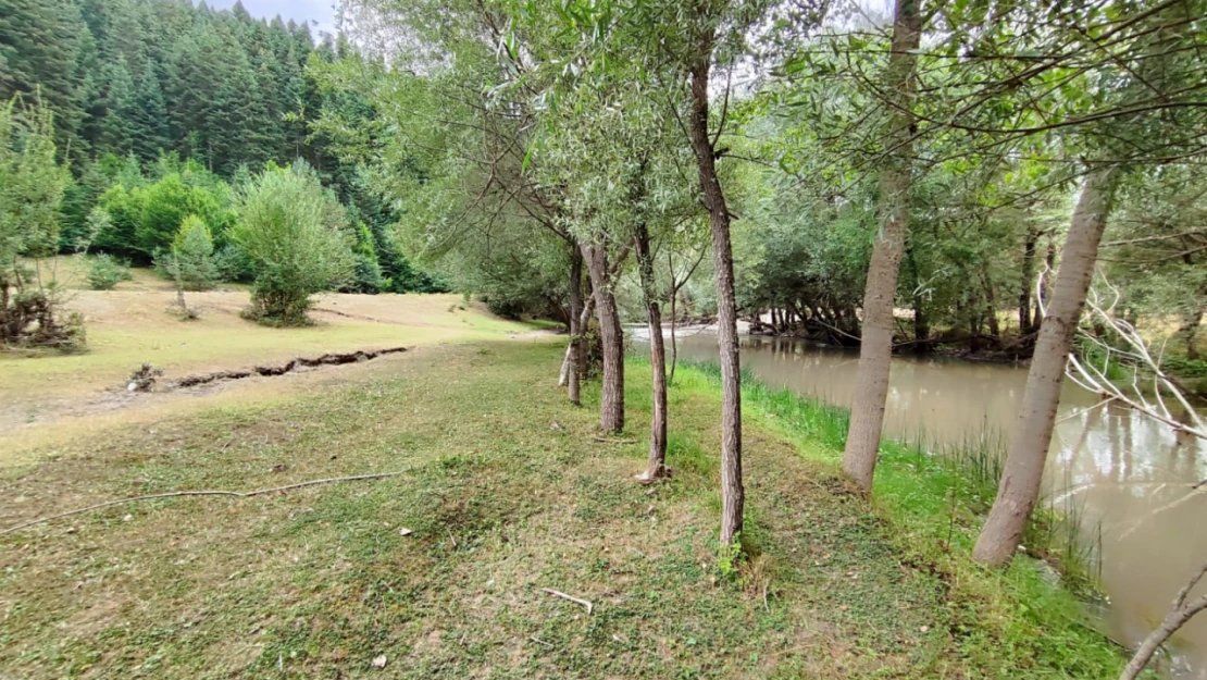 Cörmeren Çayı'nın çilesi bitmiyor