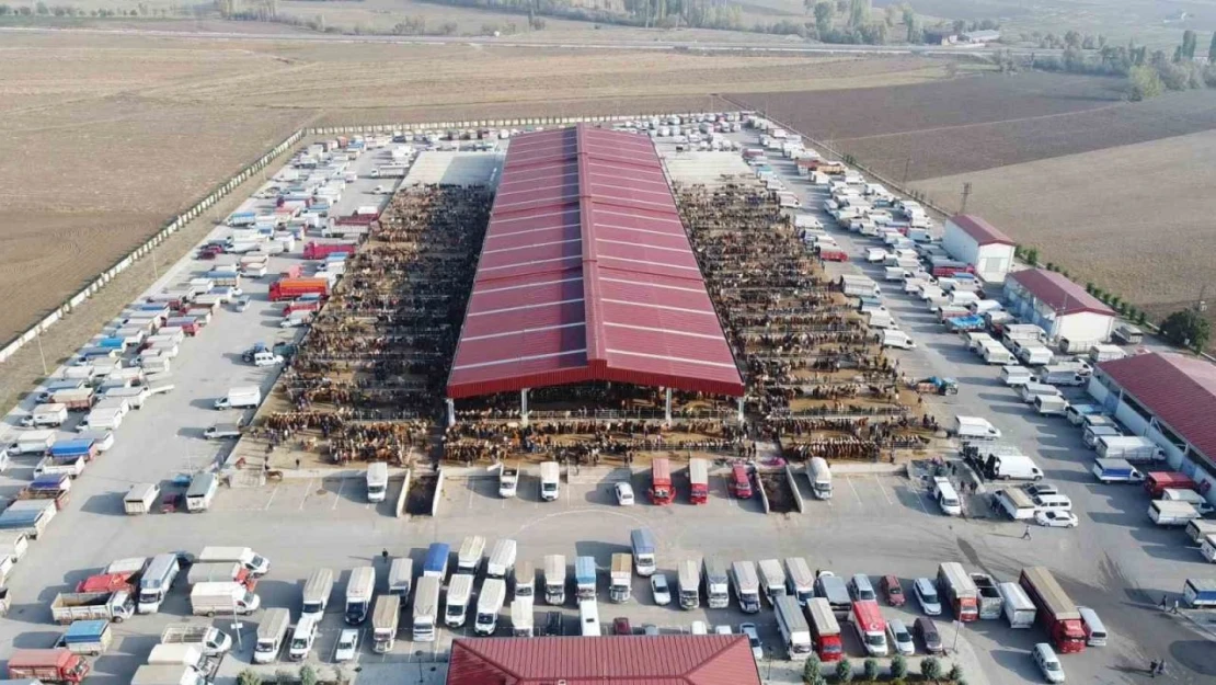 Kurban Pazarı Yarın Açılıyor