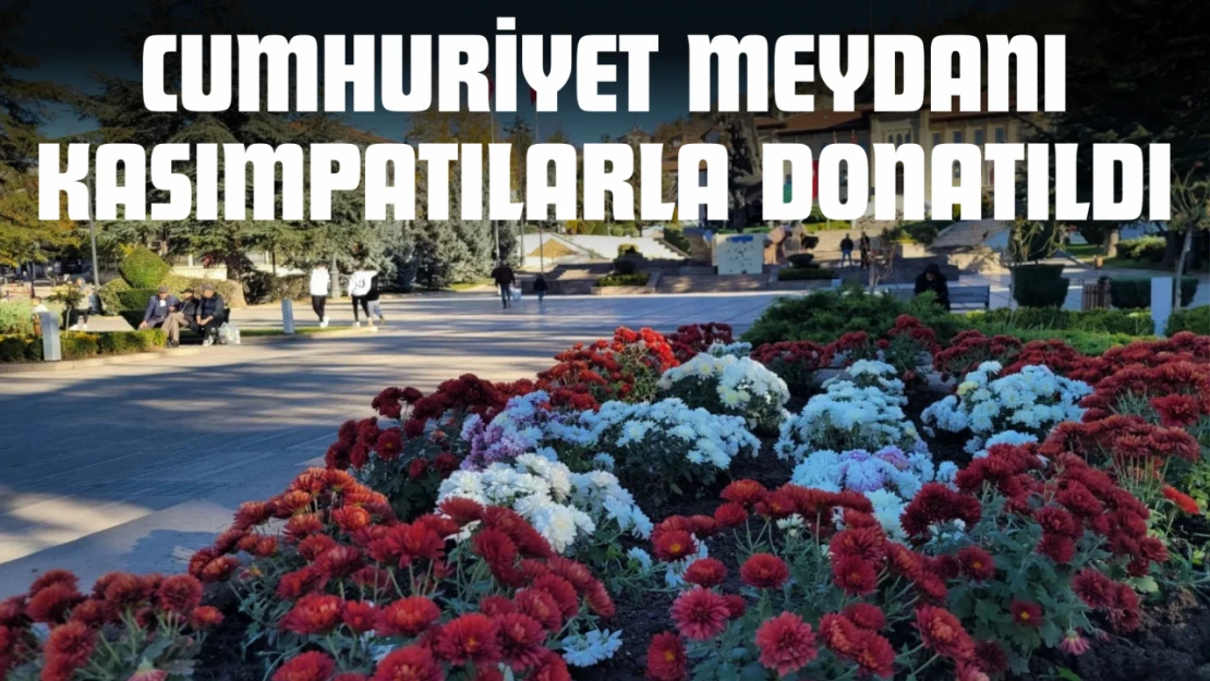 Cumhuriyet Meydanı Kasımpatılarla Donatıldı