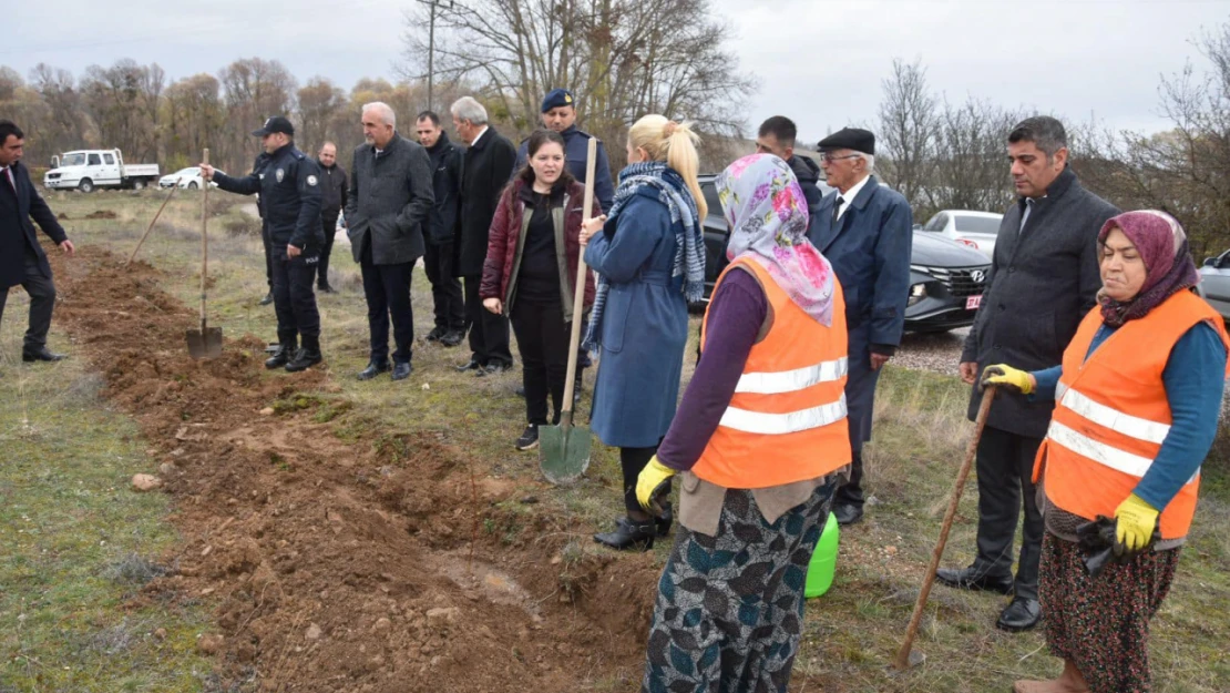 Daday'da 100 Fidan Dikildi