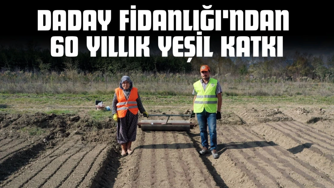 Daday Fidanlığı'ndan 60 Yıllık Yeşil Katkı