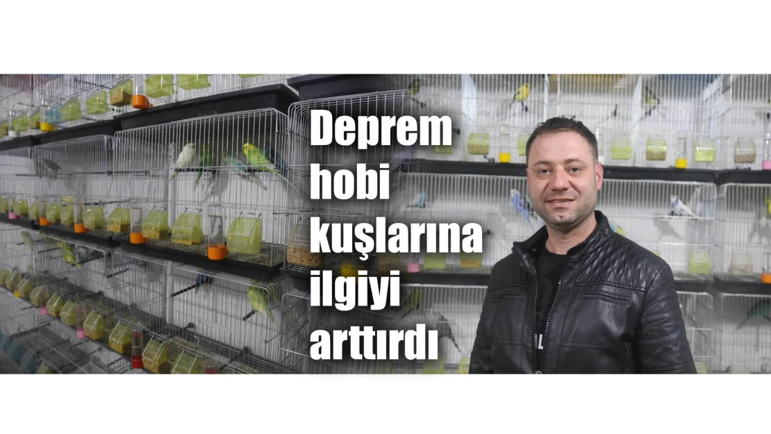 Deprem hobi kuşlarına ilgiyi arttırdı