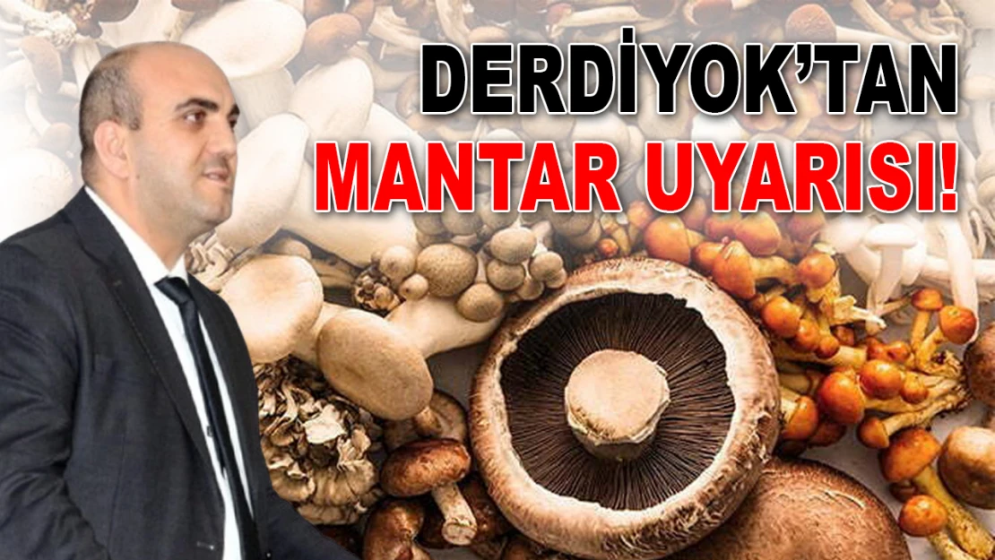 Derdiyok'tan Mantar Uyarısı!