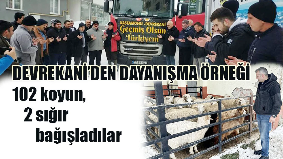 DEVREKANİ'DEN DAYANIŞMA ÖRNEĞİ / 102 koyun, 2 sığır bağışladılar