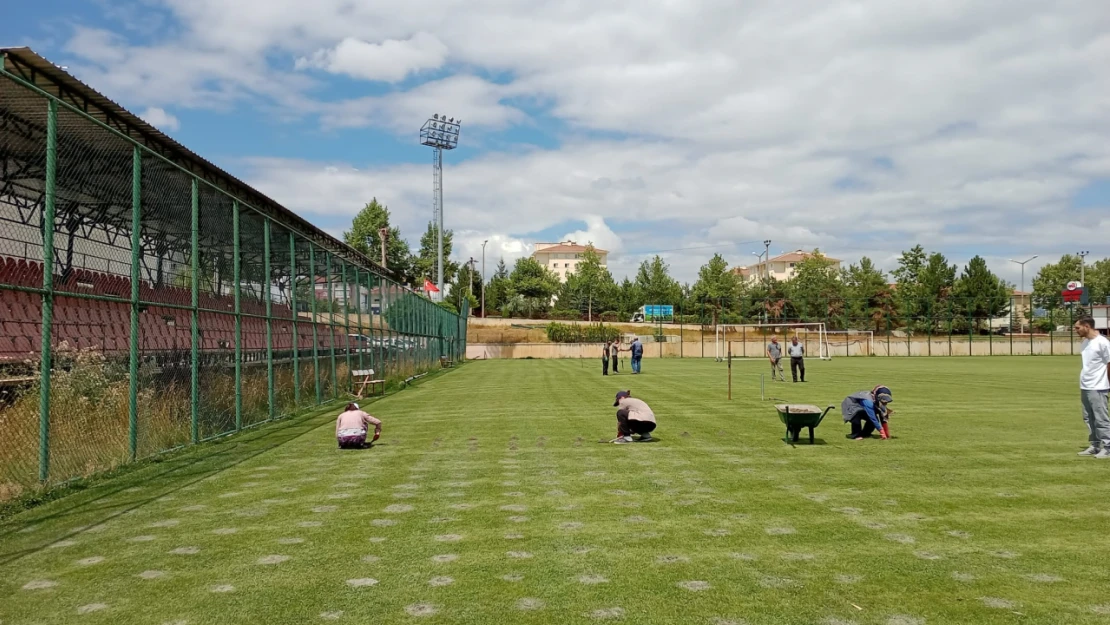 Dikmenli'ye Gençlik Spor Dokunuşu