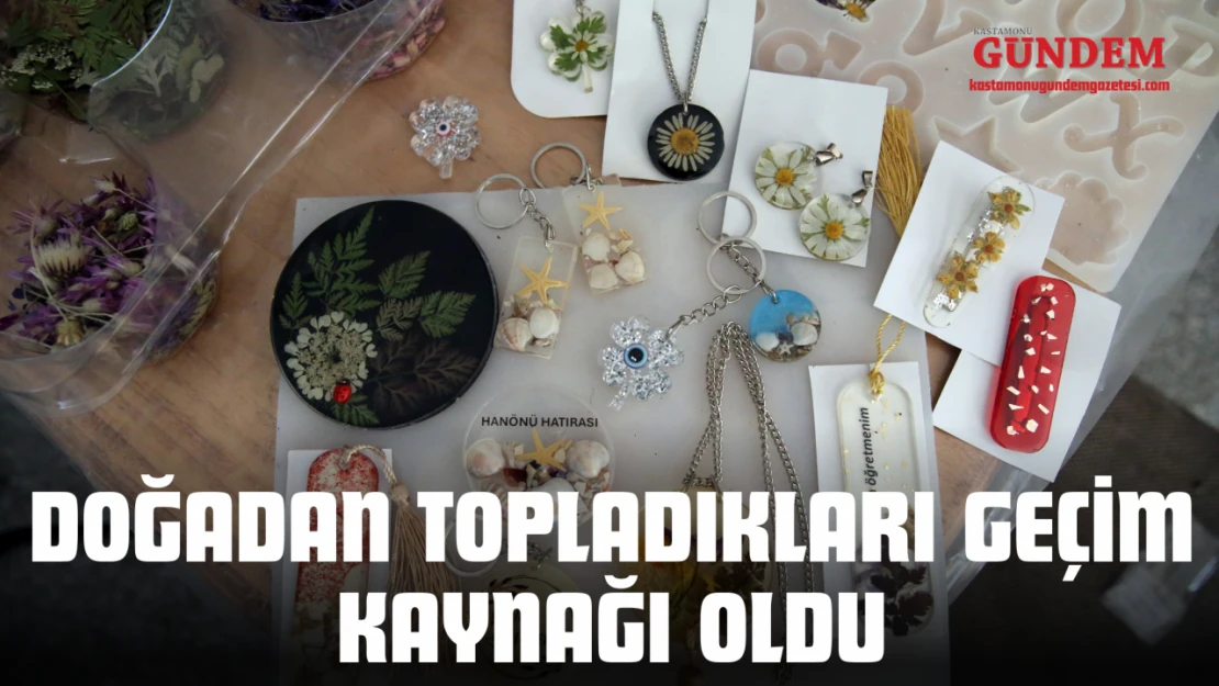 Doğadan Topladıkları Geçim Kaynağı Oldu