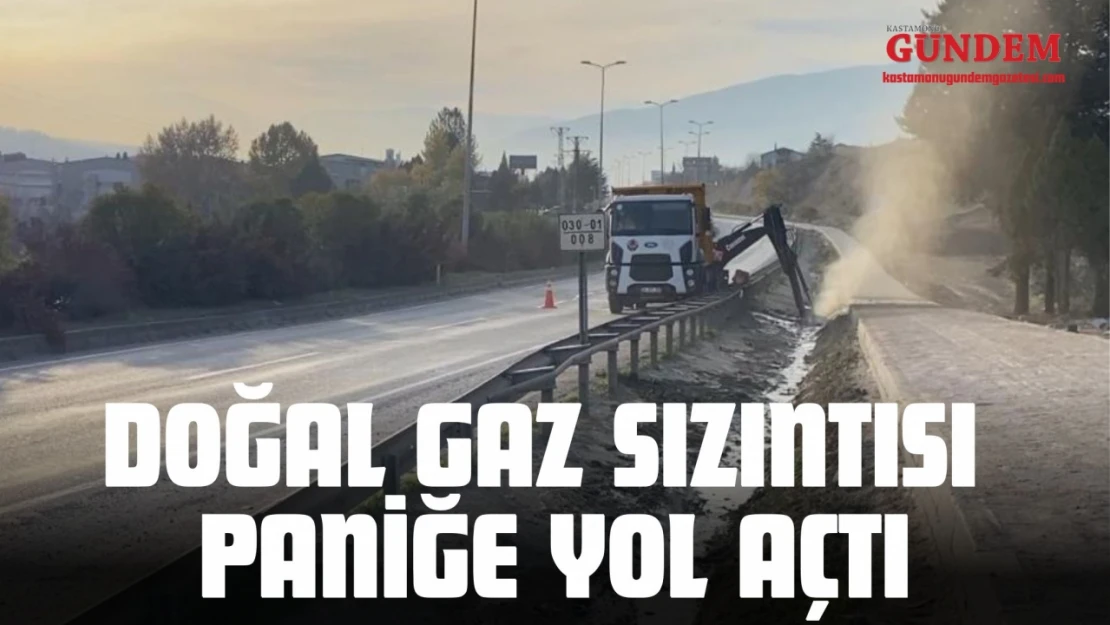 Doğal Gaz Sızıntısı Paniğe Yol Açtı