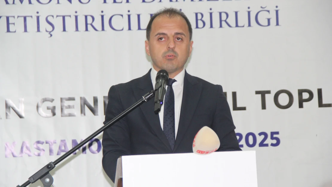 DSYB Başkanı Pehlivan: 'Üreticimizin Yanında Olmaya Devam Edeceğiz'