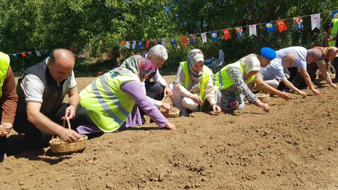 Dünyanın En Pahalı Baharatı Safranın Üretimine ORKÖY'den Destek