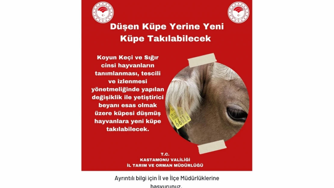 Düşen Küpe Yerine Yenisi Takılabilecek