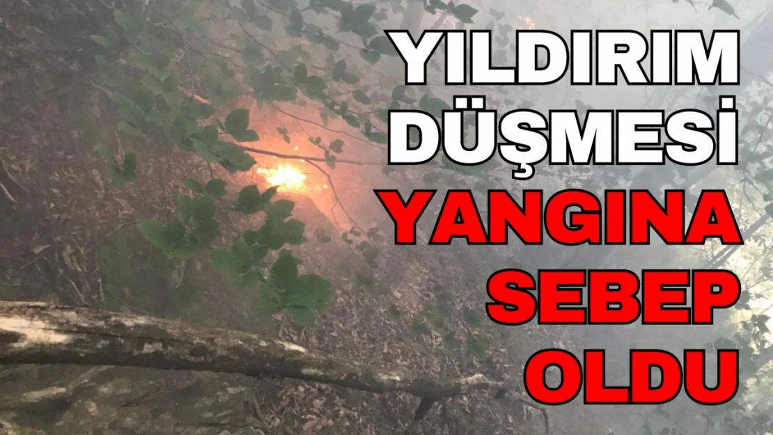 Düşen Yıldırım Yangına Sebep Oldu