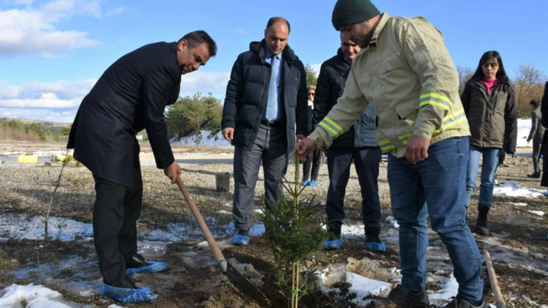 Eğitim Hatıra Ormanı'nda Fidan Dikimi