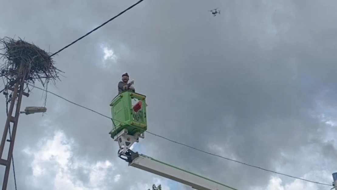 Ekipler, ayaklarına bandaj dolanan leylek için seferber oldu