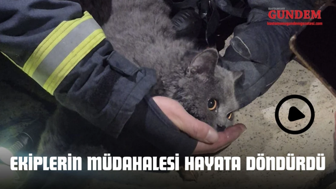 Ekiplerin Müdahalesi Hayata Döndürdü