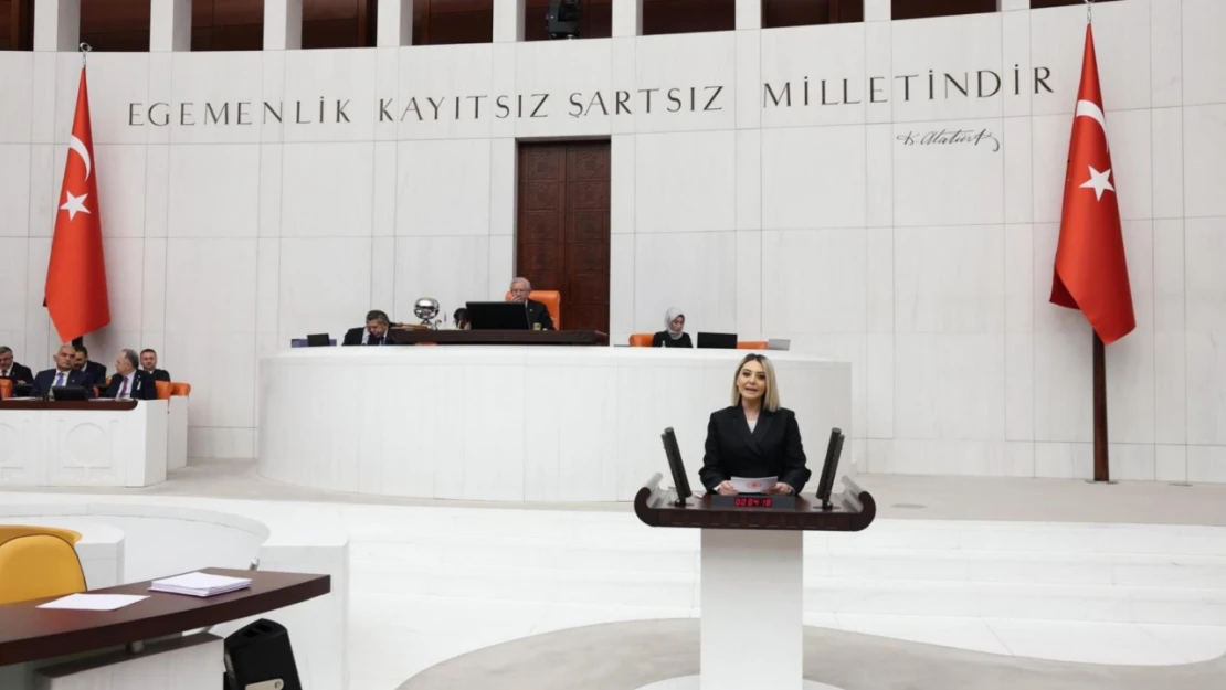 Ekmekci'den Bütçe Desteği