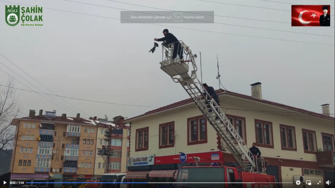 Elektrik Teline Takılan Güvercini İtfaiye Kurtardı