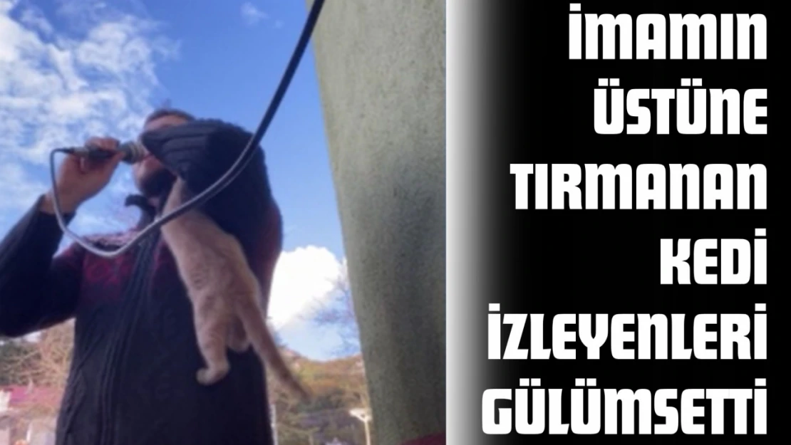 Ezan Okuyan İmamın Üzerine Tırmanan Kedi İzleyenleri Gülümsetti