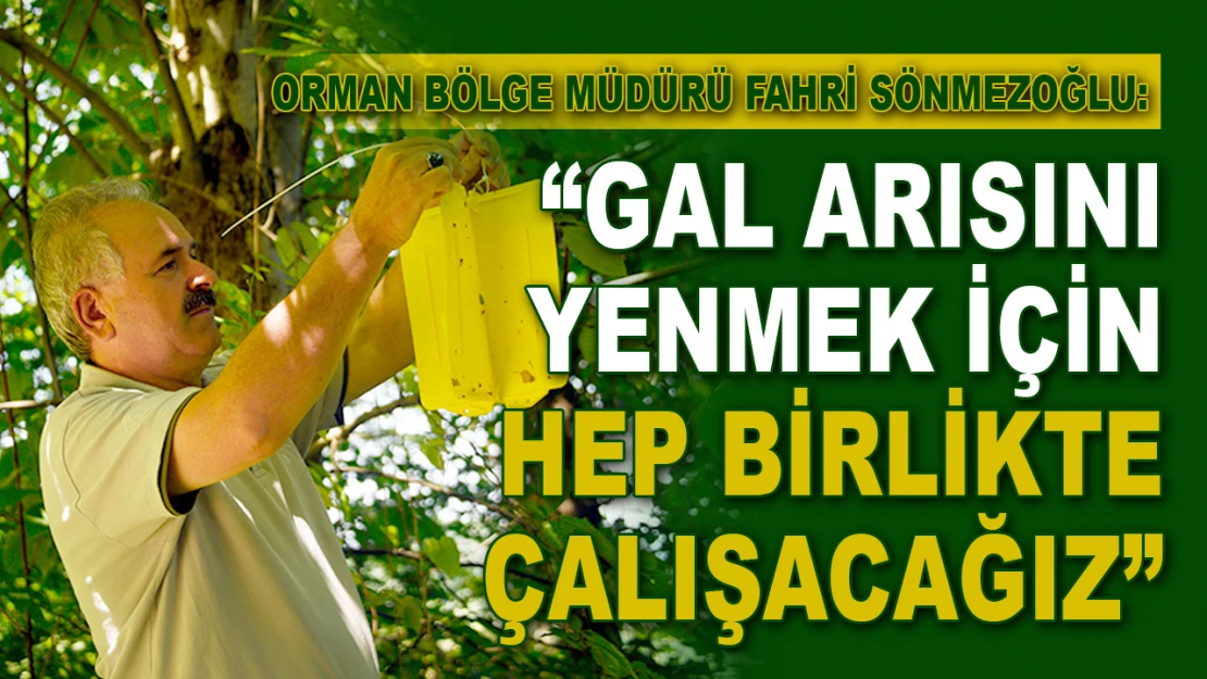 Fahri Sönmezoğlu: 'Gal Arısını Yenmek İçin Hep Birlikte Çalışacağız'