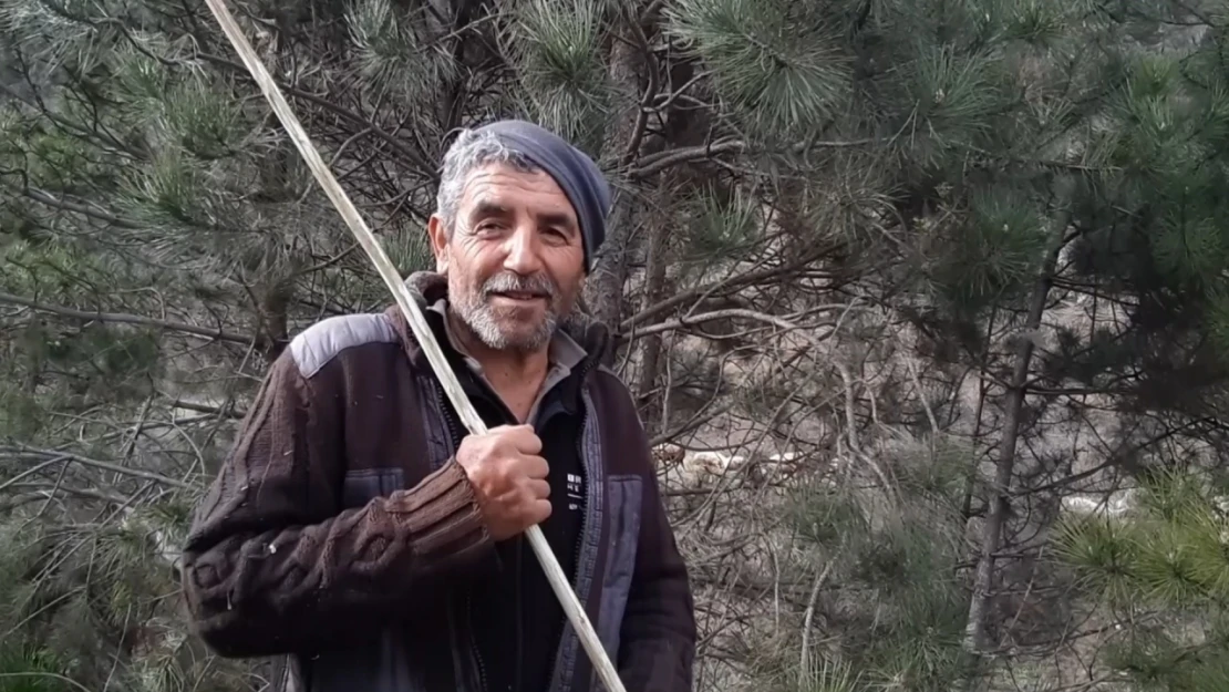 Gizemli kazıda yeni gelişme