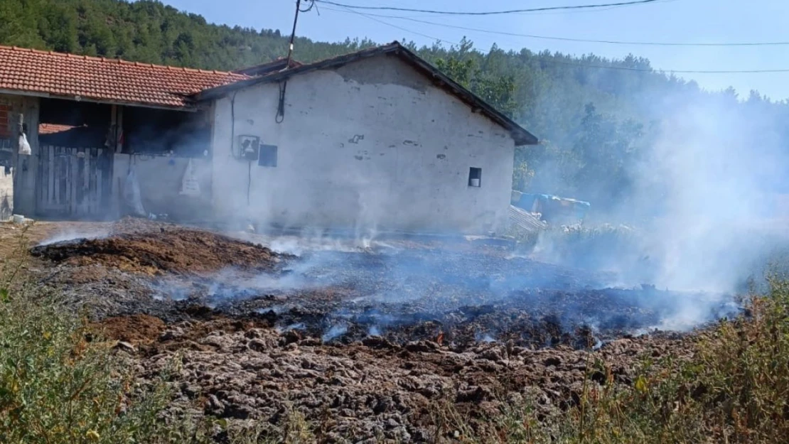 Yangın Ormana Sıçramadan Söndürüldü