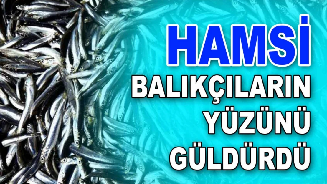 Hamsi Balıkçıların Yüzünü Güldürdü