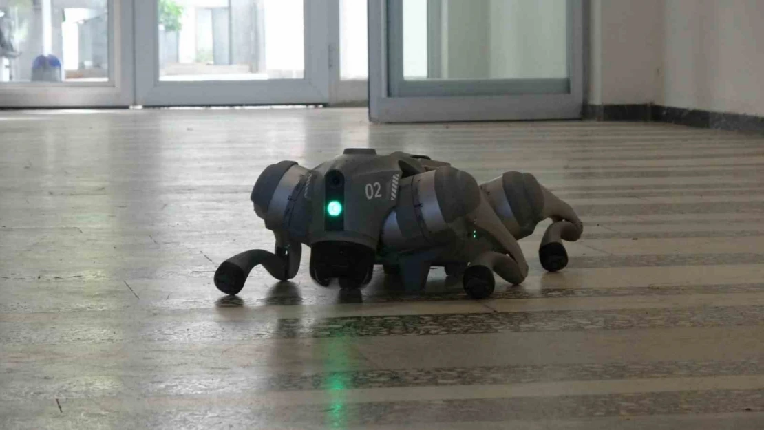 Hasar Tespiti Robotik Köpeklere Emanet