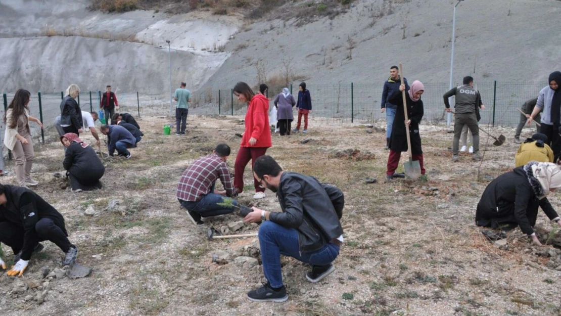 Hastane Bahçesine 150 Fidan Dikildi