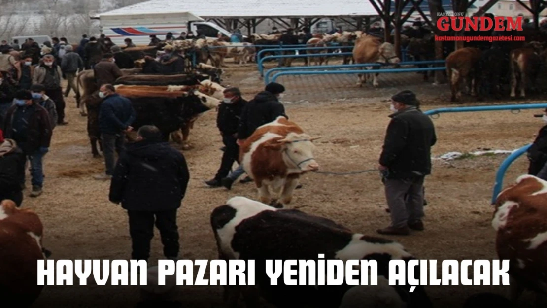 Hayvan Pazarı Yeniden Açılacak