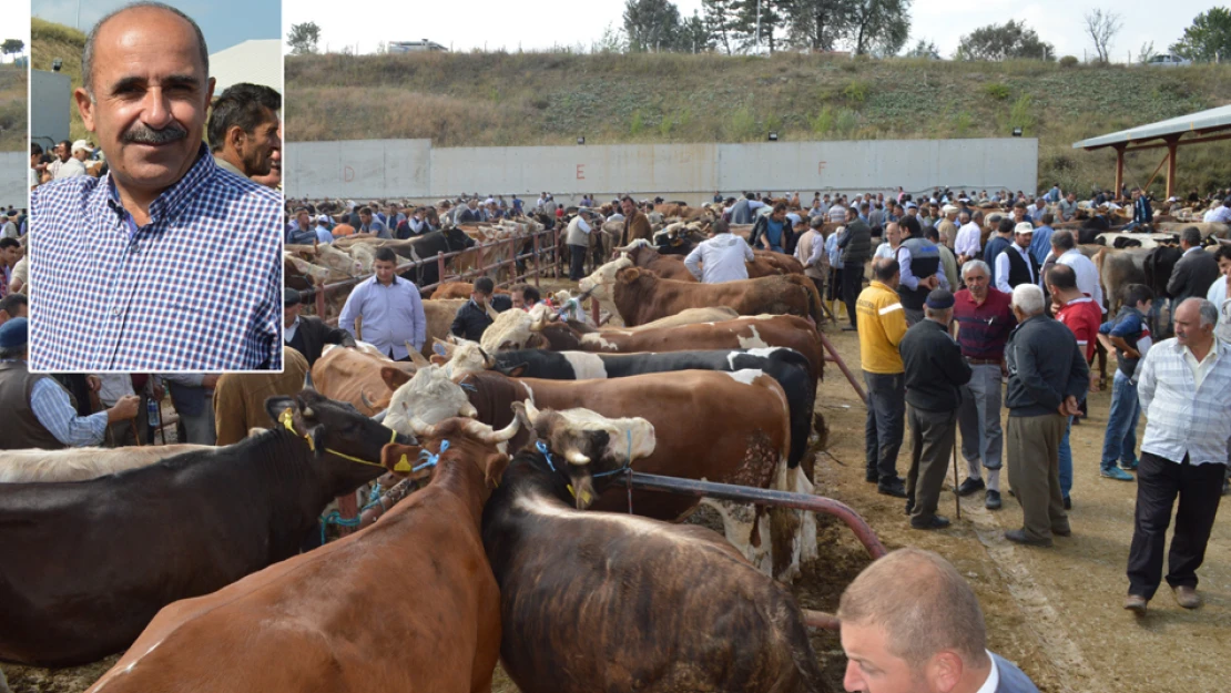 Hayvan Pazarı'nda kurban hareketliliği başladı