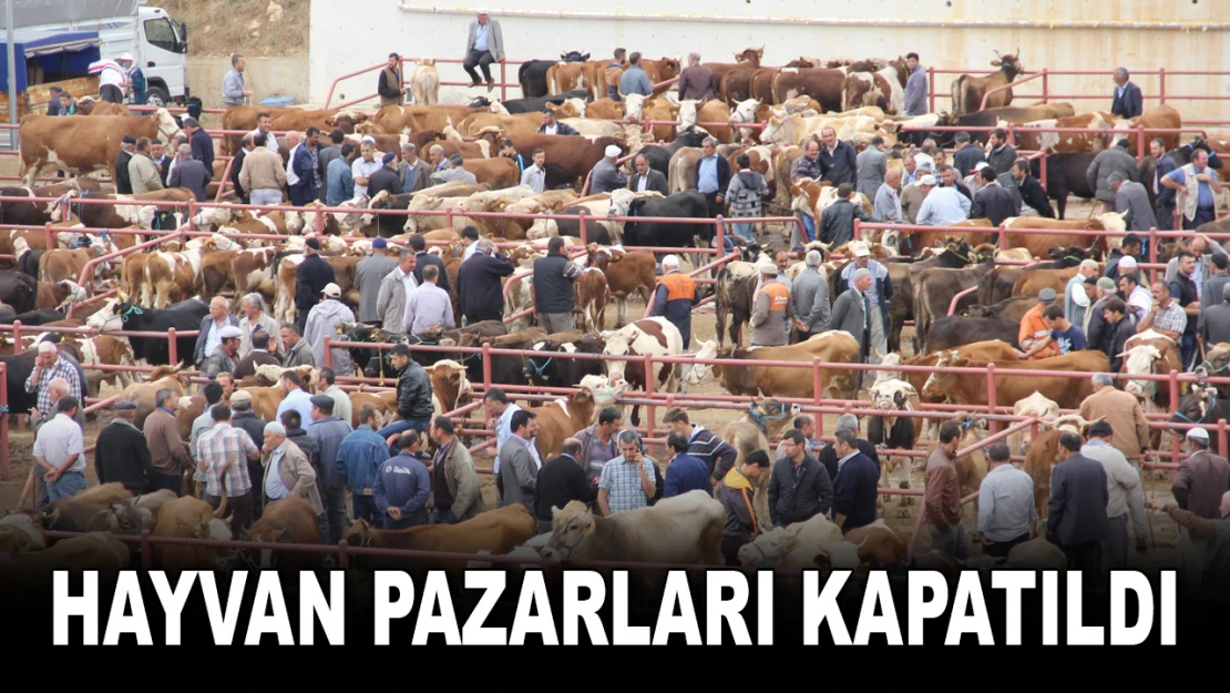 Hayvan Pazarları Kapatıldı